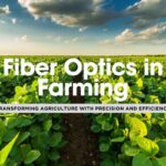 Harnessing Fiber Optics for Precision Agriculture: Enhancing Crop Monitoring and Yield 🌱📡